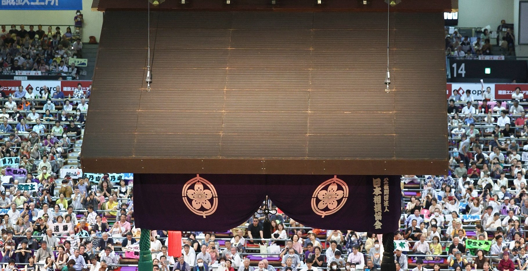 東京一日相撲比賽導覽遊