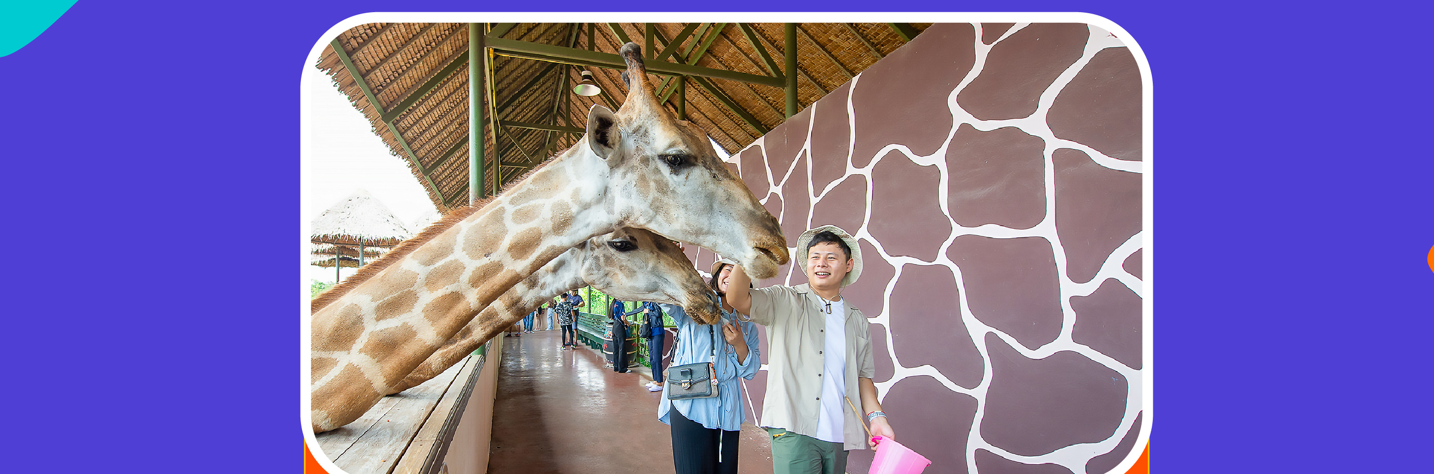 曼谷野生動物園 & 喬德夜市（JODD FAIRS）私人一日遊