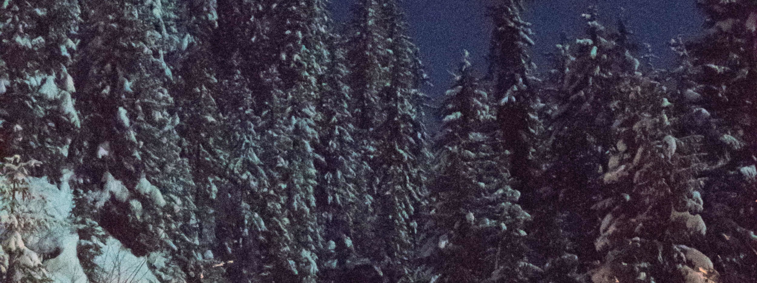 Night Sledding Experience from Interlaken