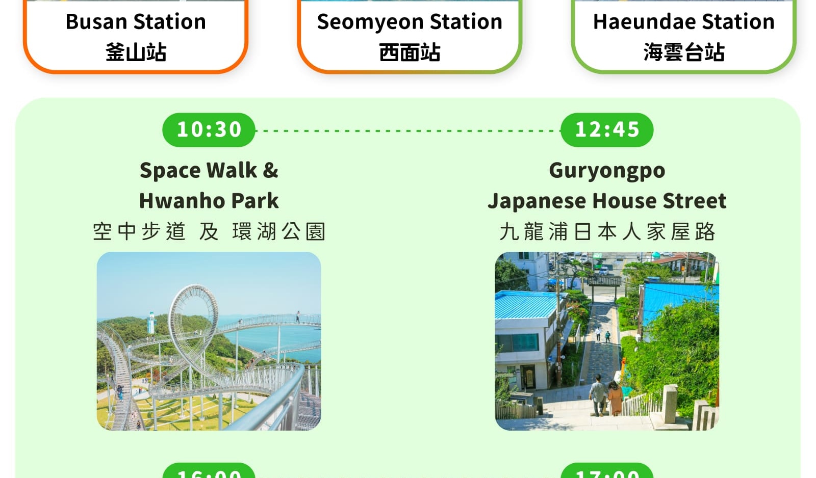 Pohang Space Walk x Cherry Blossom, Guryongpo, Homigot Canola Flower