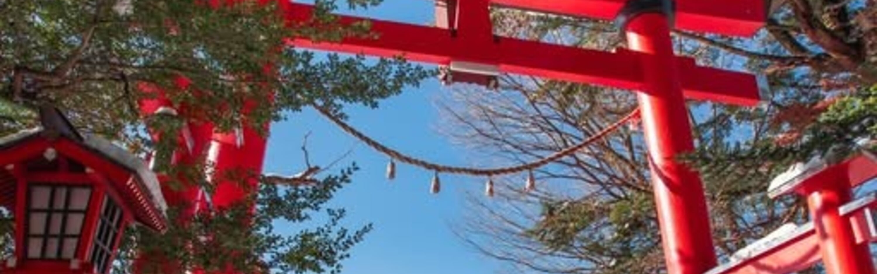 新倉富士淺間神社 (忠靈塔)