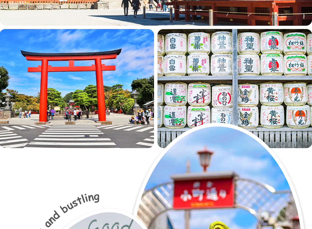 鶴崗八幡宮是鎌倉最重要的神社，歷史悠久、春季櫻花與秋季紅葉皆迷人。