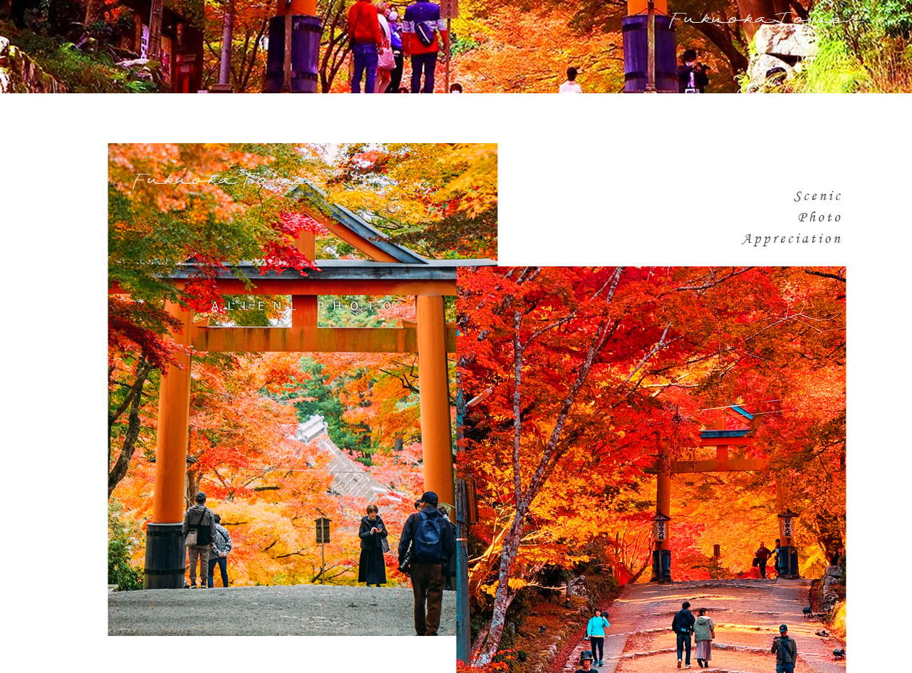 紮根比叡山的千年古社,日吉大社以莊重社宇、參天古木與深厚信仰文化,盡顯京都近郊的靜謐與厚重。 紮根比叡山的千年古社,日吉大社以莊重社宇、參天古木與深厚信仰文化,盡顯京都近郊的靜謐與厚重。