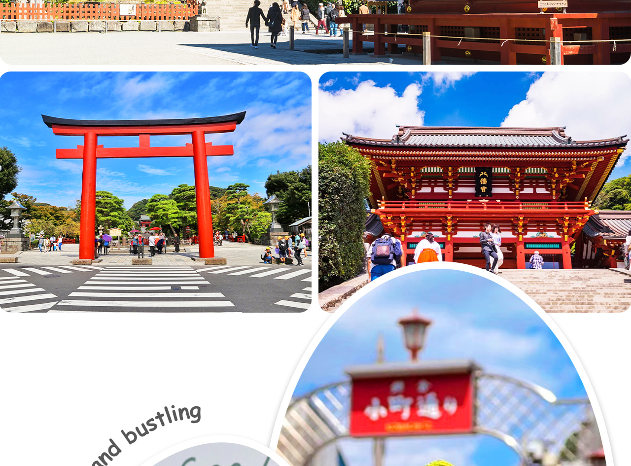 鎌倉鶴岡八幡宮是武家文化象徵的千年古社，四季花木相映，承載著歷史與信仰的厚重氛圍。