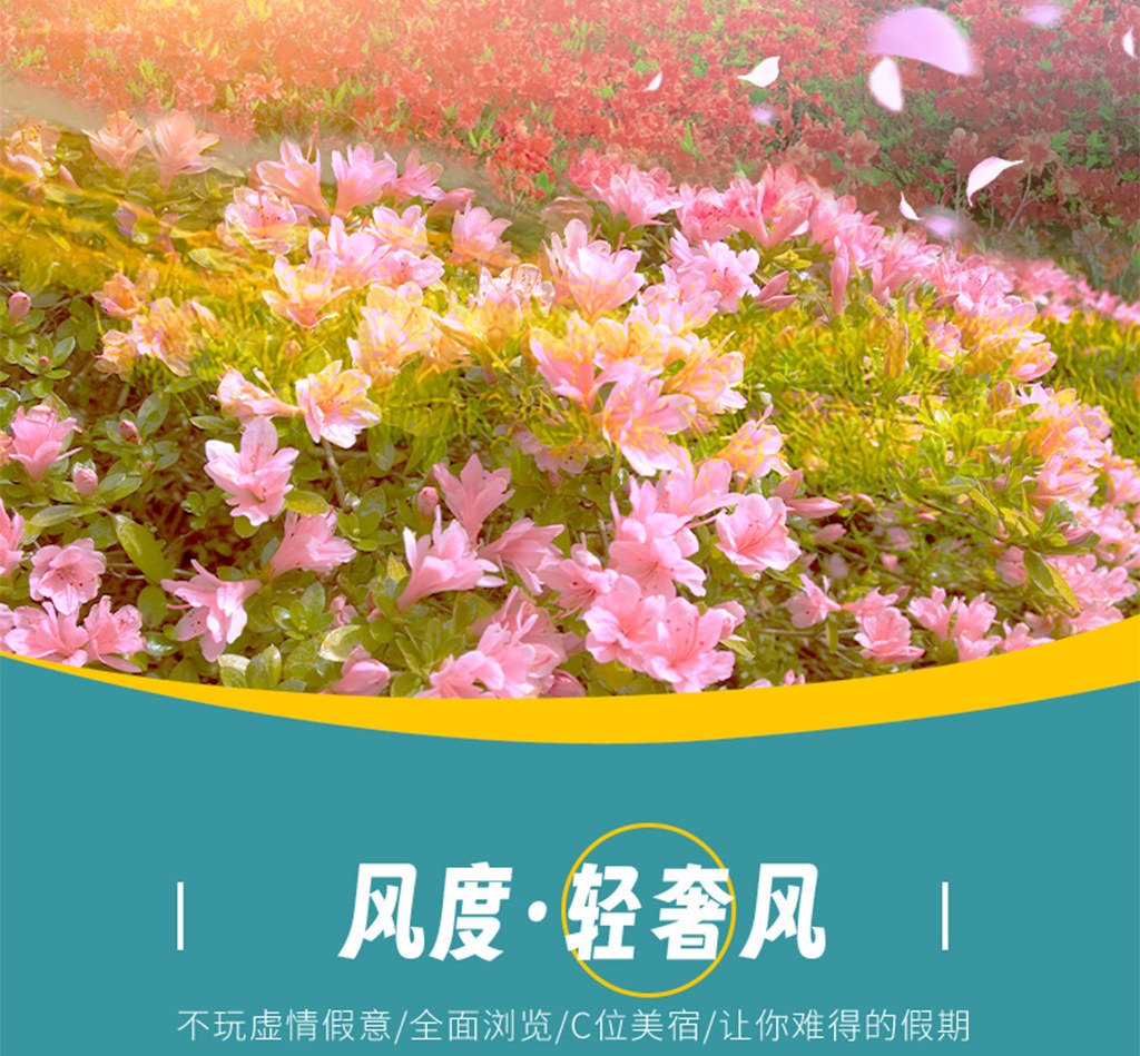貴州山花爛漫5日（百里杜鵑+平壩櫻花園+青巖古鎮+織金洞+織金大峽谷+黃果樹瀑布）