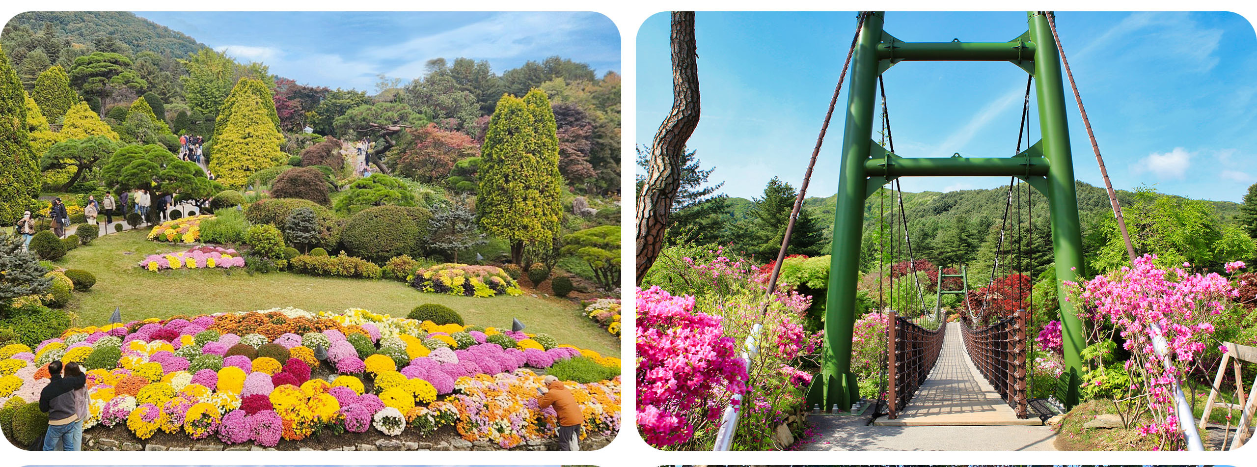 漫步於韓國最美的私人花園之一,欣賞大自然生機盎然的景象。 漫步於韓國最美的私人花園之一,欣賞大自然生機盎然的景象。
