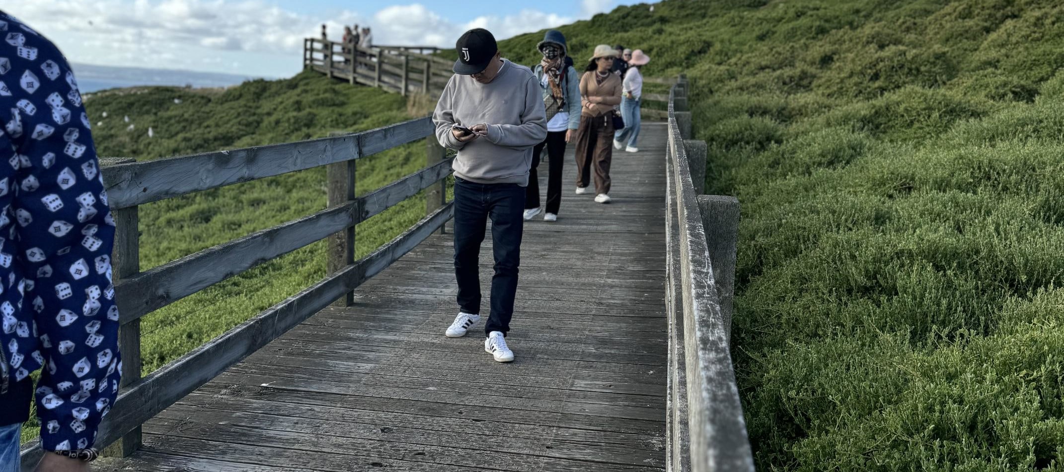 從墨爾本出發的菲利普島企鵝遊行之旅