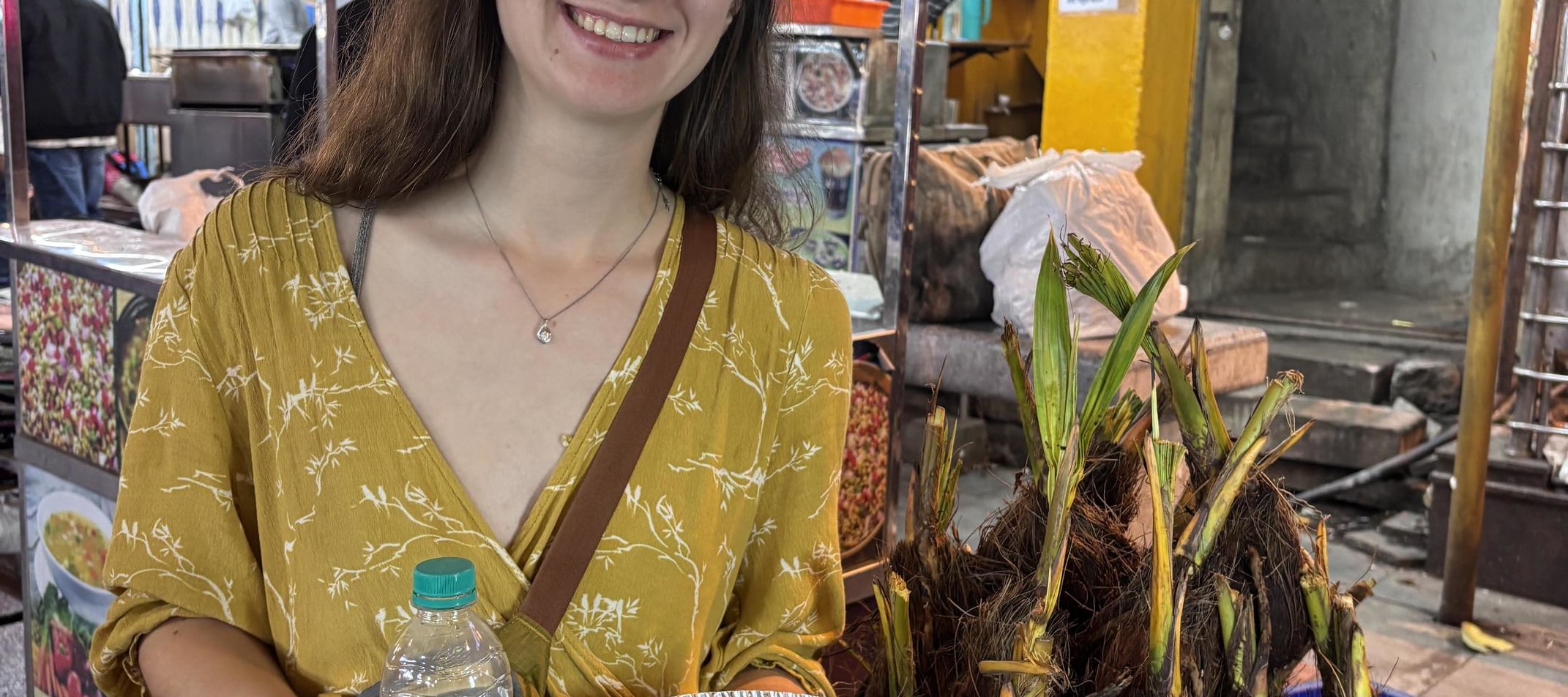 Bangalore : Evening Food Street Walk and Market Visit