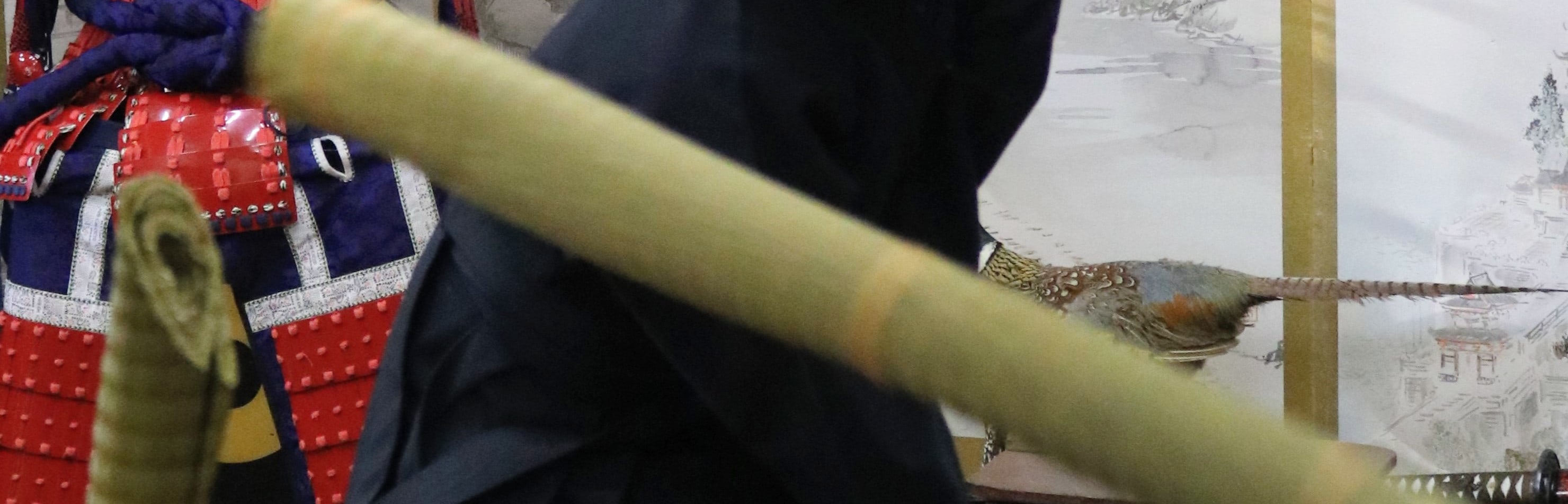 他們從小就學習如何使用劍，15歲時就被允許攜帶真劍。