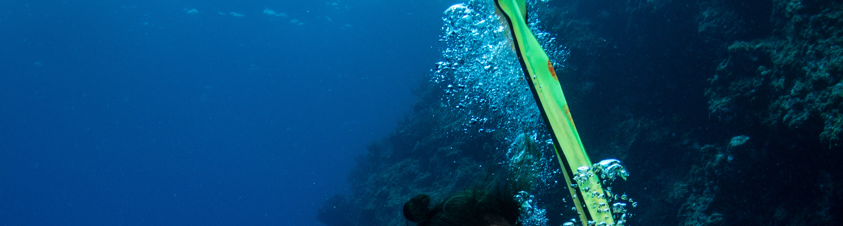 峇里島 PADI 潛水中心進階開放水域潛水員課程