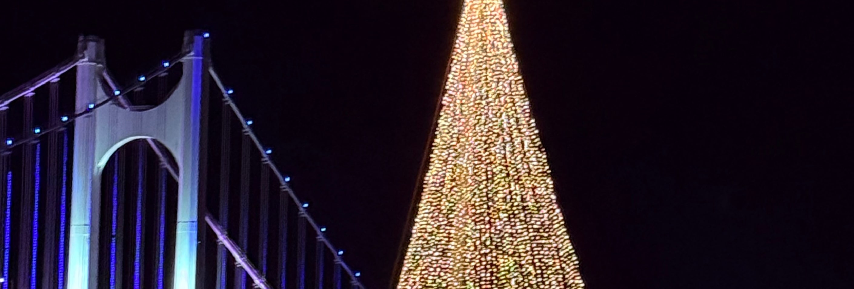 冬季限定！最大聖誕樹遊艇即將駛向您！