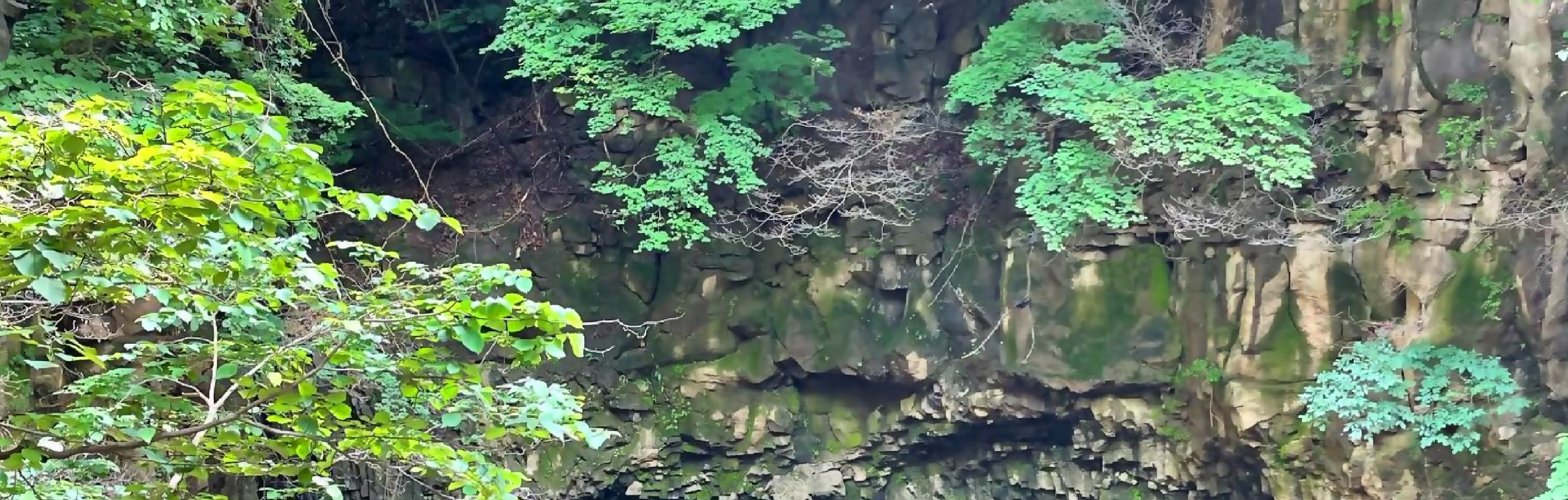 浦川 & 季節性熱門景點一日遊