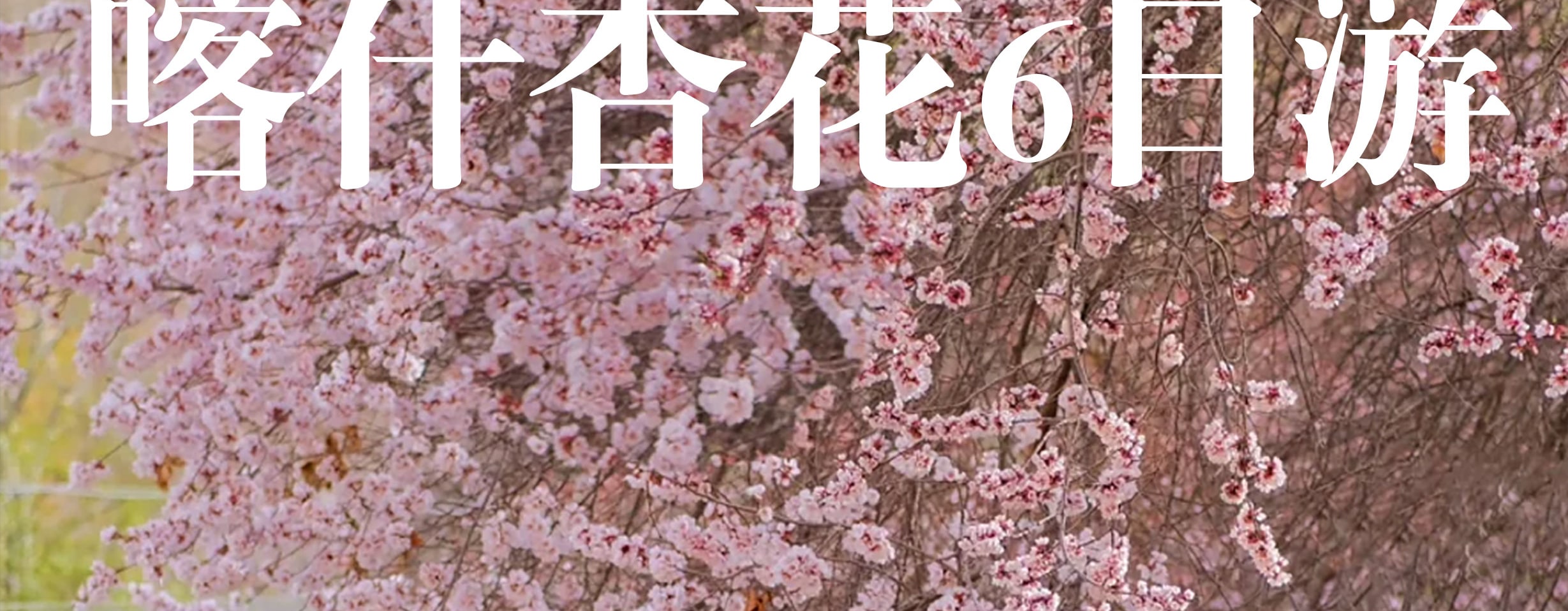 新疆南疆花開帕米爾6日（塔爾鄉杏花村+喀什古城旅拍+班迪爾藍湖+盤龍古道+塔莎古道+白沙湖+喀拉庫裡湖+木吉火山口+紅其拉普口岸）