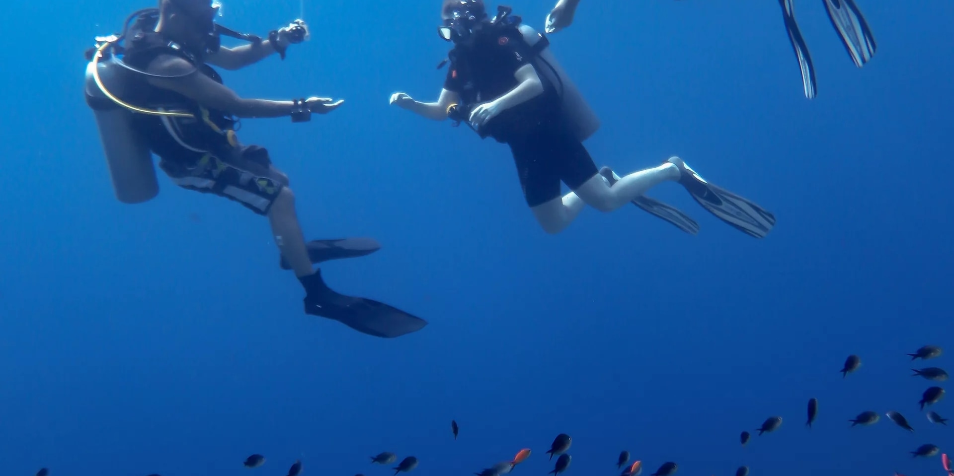 龍目島潛水冒險體驗（PADI五星級潛水度假村）