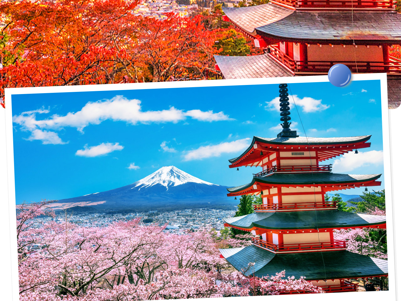 新倉山淺間神社以五重塔映襯富士山的經典畫面，成為全球攝影師必打卡的絕美景點。