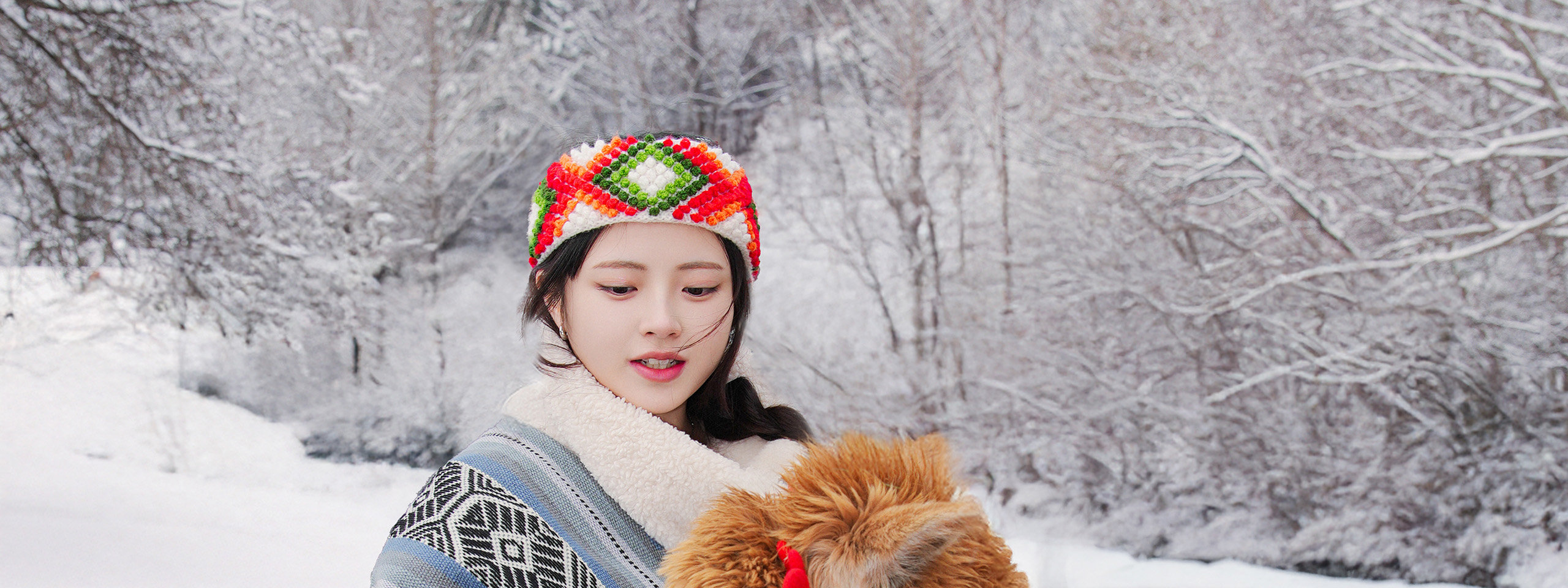 在草泥馬樂園近距離接觸草泥馬,與可愛的動物互動 在草泥馬樂園近距離接觸草泥馬,與可愛的動物互動