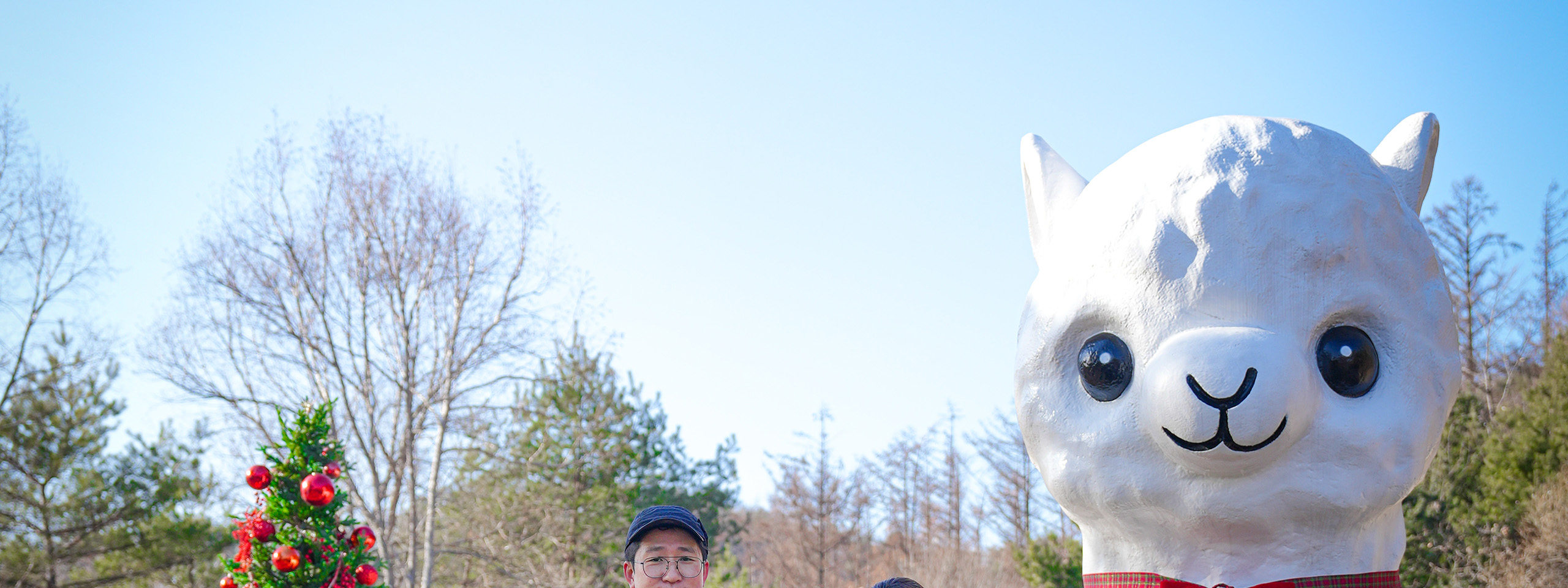 在這場近距離接觸體驗中,餵食、撫摸可愛的草泥馬,並跟牠們一起自拍! 在這場近距離接觸體驗中,餵食、撫摸可愛的草泥馬,並跟牠們一起自拍!