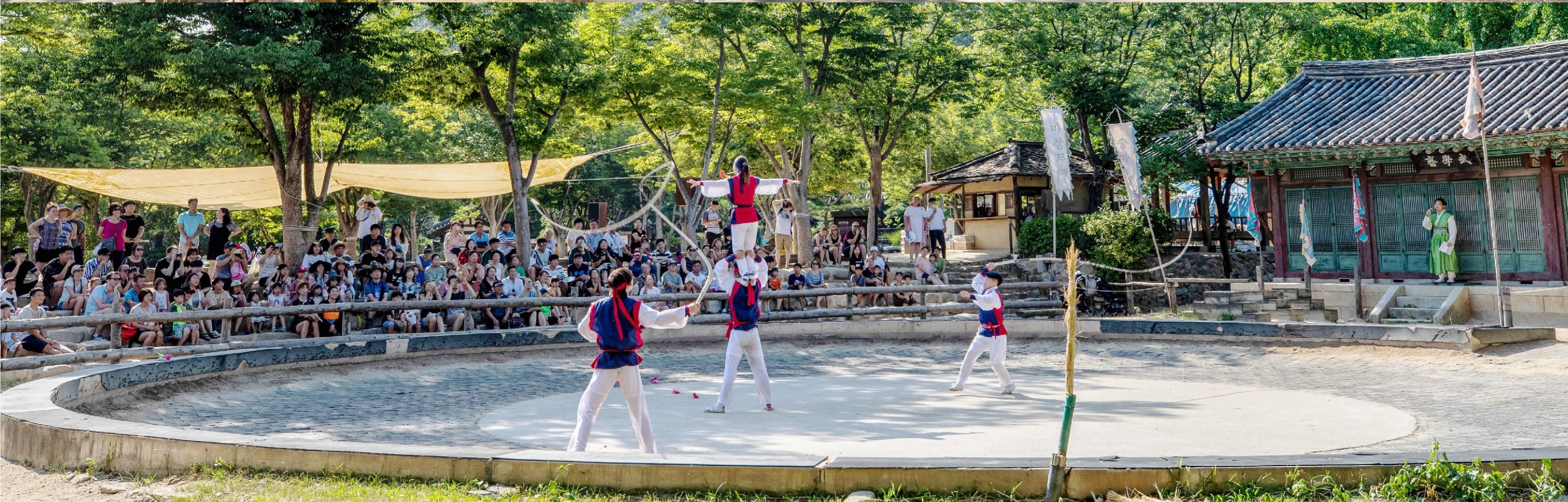 和談林植物園 & 南漢山城 & 民俗村一日遊