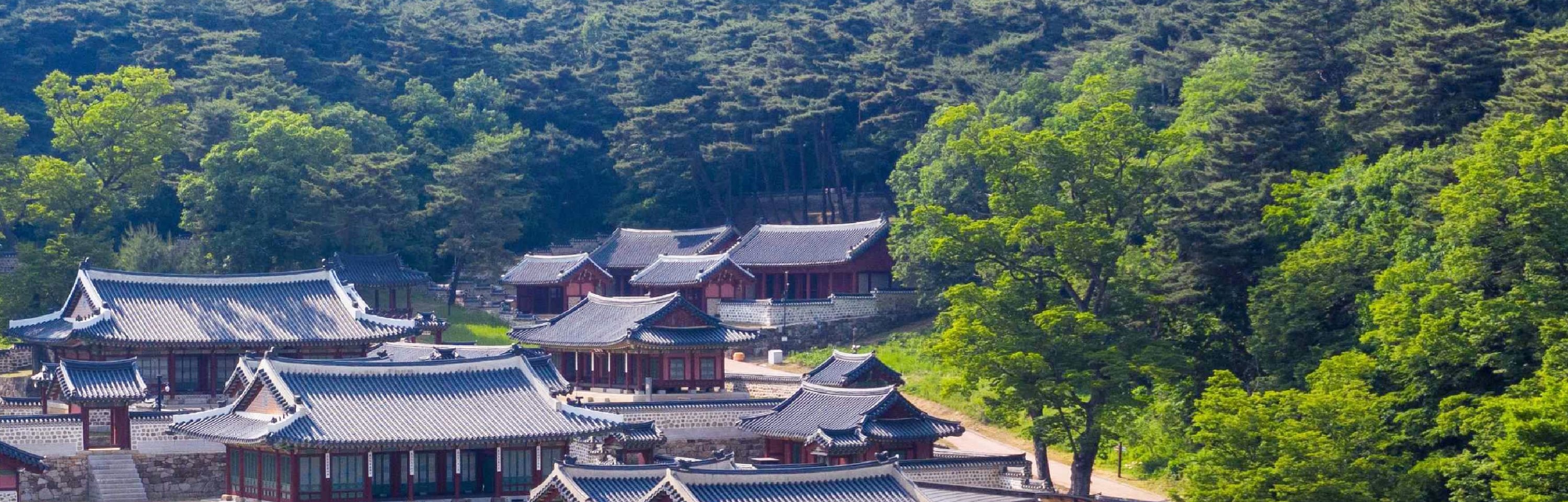 和談林植物園 & 南漢山城 & 民俗村一日遊