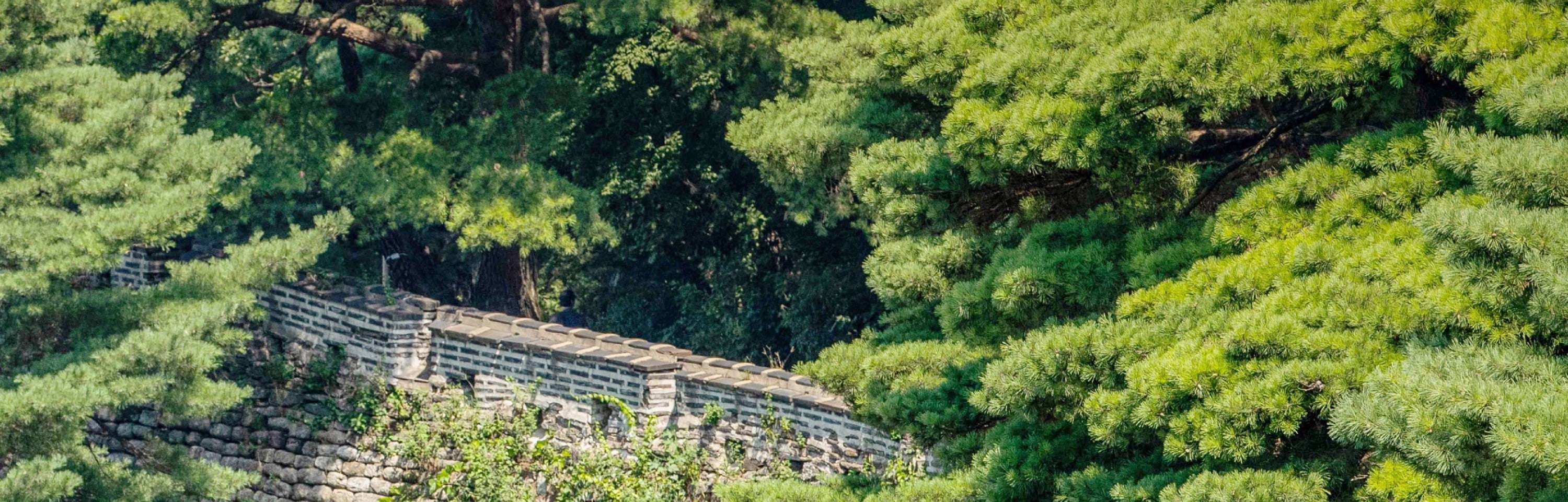 和談林植物園 & 南漢山城 & 民俗村一日遊