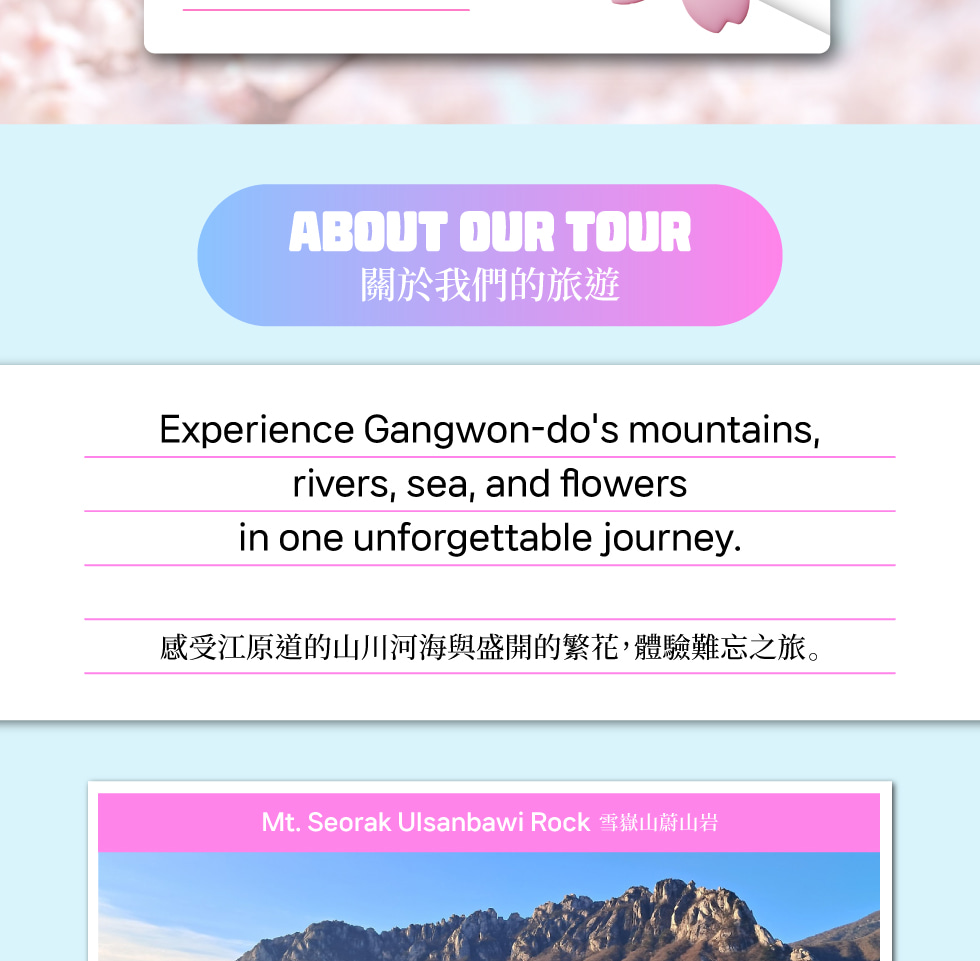 江原道春季賞櫻之旅（首爾出發）