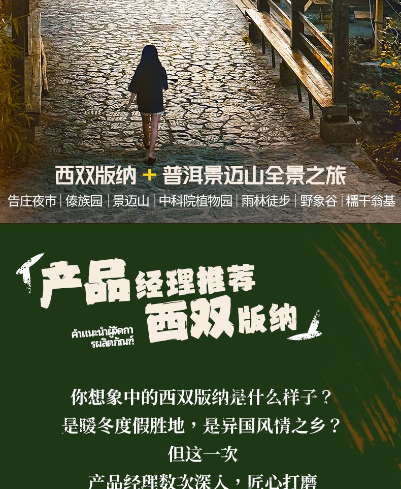 雲南版納往事6日（告莊夜市+傣族園+景邁山+中科院植物園+雨林徒步+野象谷+糯幹翁基古寨）