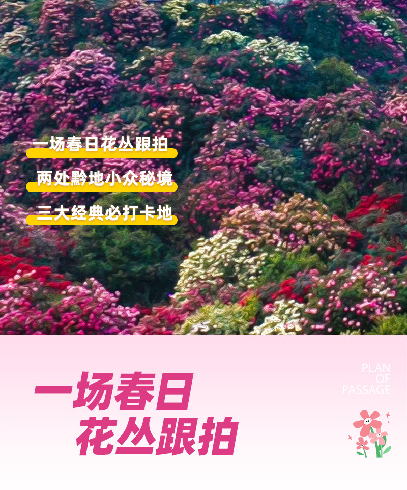 貴州百里杜鵑5日賞花之旅(貴陽往返+四鑽酒店+贈送旅拍+百里杜鵑+青巖古鎮+織金洞+黃果樹瀑布）