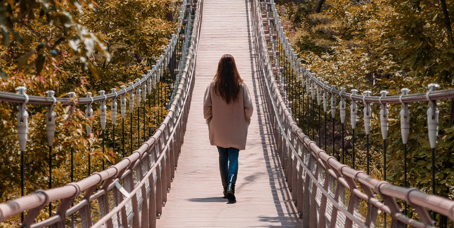 🍂秋意漸濃,金黃色的樹葉與深色玄武岩峽谷交織成一幅美麗的畫作。現在正是欣賞地質奇景與感受大自然溫柔魅力的絕佳時節。 🍂秋意漸濃,金黃色的樹葉與深色玄武岩峽谷交織成一幅美麗的畫作。現在正是欣賞地質奇景與感受大自然溫柔魅力的絕佳時節。