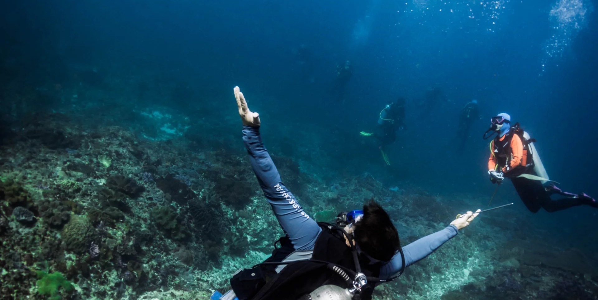 藍夢島的液體遊樂場：PADI 高級精通課程 5* 中心
