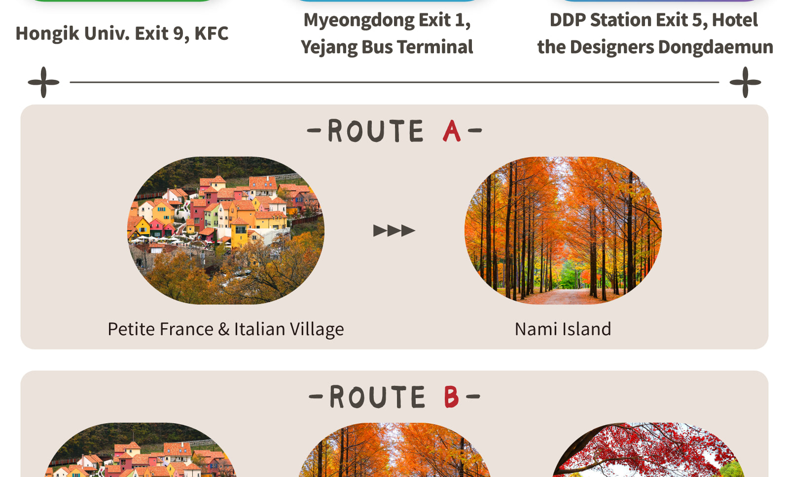 Looking for the perfect mix of nature, family fun, and Instagrammable adventures? This one-day, takes you on a magical ride through Gangwon-do and Gyeonggi-do’s top attractions, from fluffy alpacas and blooming gardens to scenic railbiking and the imagina