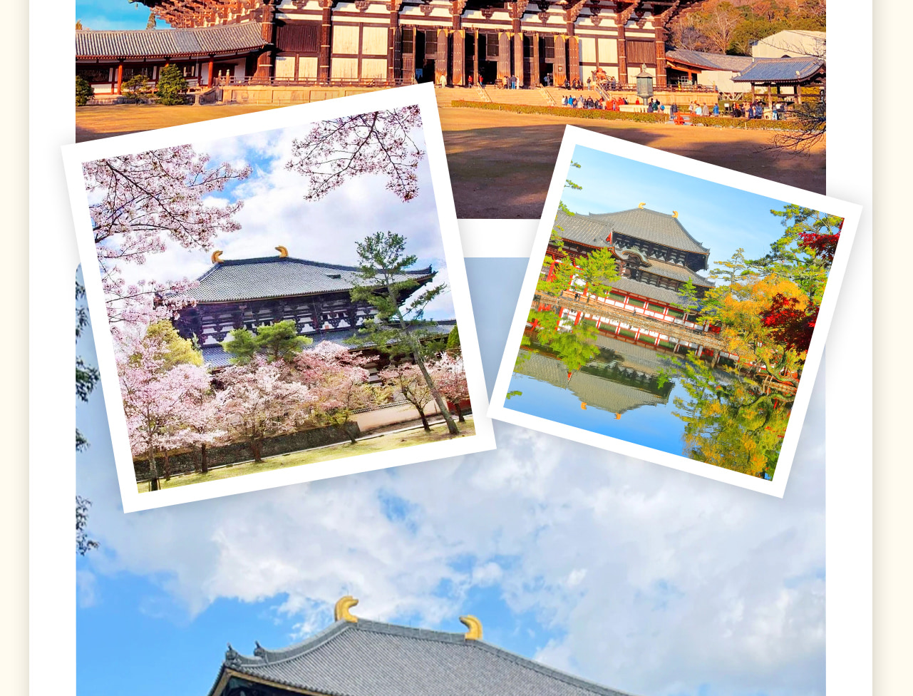 東大寺是世界文化遺產之一,始建於奈良時代,以其宏偉的大佛殿聞名於世。大佛殿寬57米,深50米,高49米,是當今世界最大的木構建築,殿內供奉著高15米的盧舍那大佛。寺內還有眾多歷史悠久的佛像和藝術品,以及自由生活的小鹿,景色宜人,充滿寧靜的歷史氛圍。 東大寺是世界文化遺產之一,始建於奈良時代,以其宏偉的大佛殿聞名於世。大佛殿寬57米,深50米,高49米,是當今世界最大的木構建築,殿內供奉著高15米的盧舍那大佛。寺內還有眾多歷史悠久的佛像和藝術品,以及自由生活的小鹿,景色宜人,充滿寧靜的歷史氛圍。