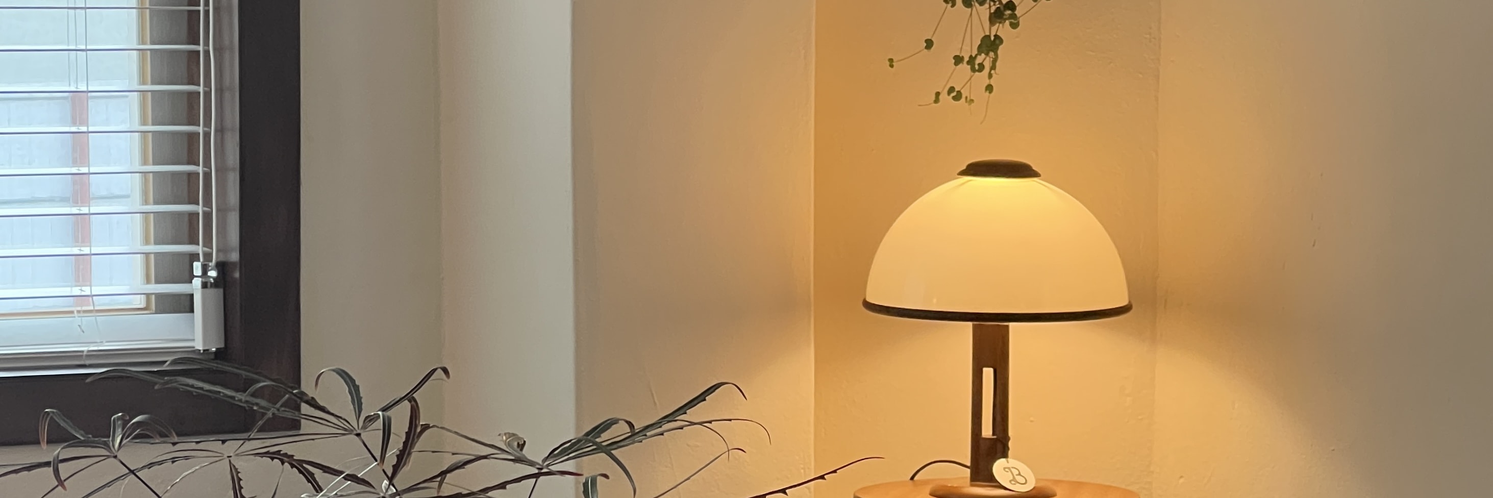 韓國及亞洲茶道體驗