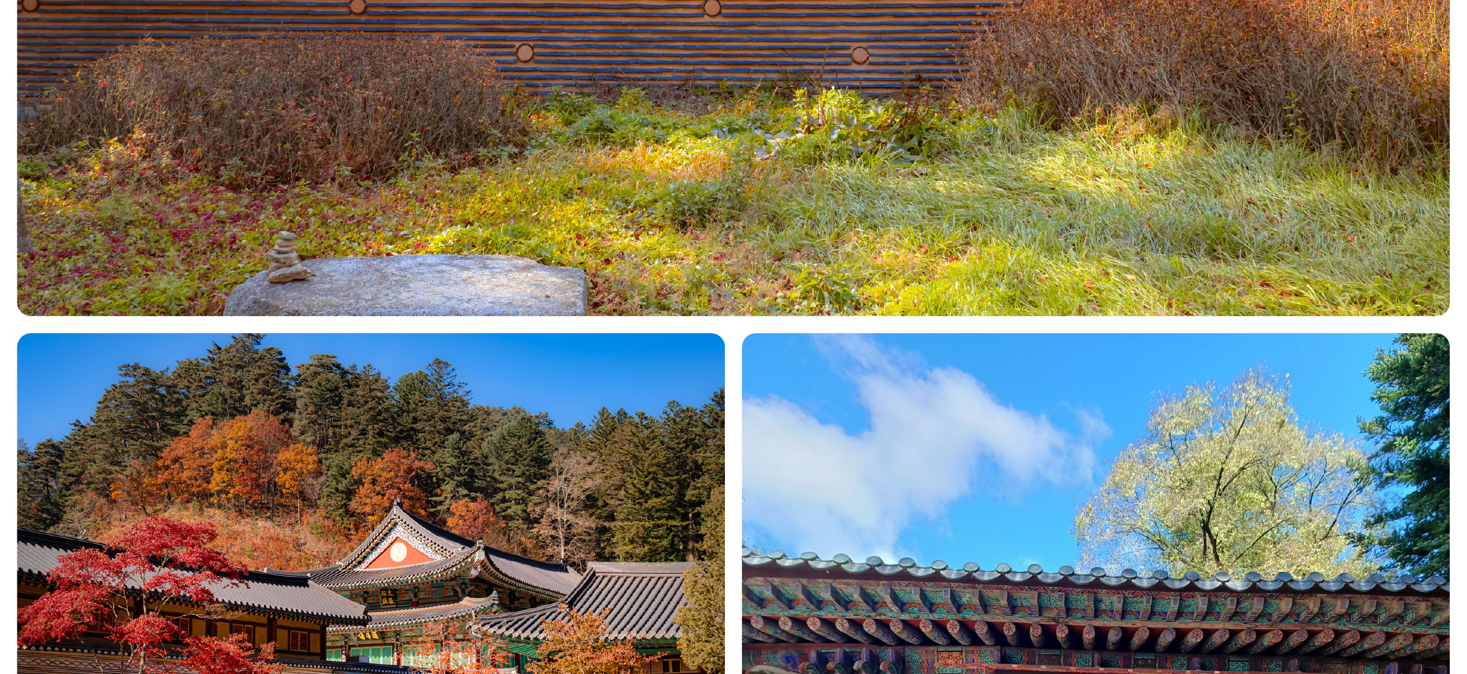 月精寺 (Woljeongsa Temple) 位於韓國平昌郡五台山國家公園的森林中。秋季時的公園景色尤其迷人，擁有色彩鮮豔的樹葉、多樣化的動植物、像月精寺這樣的古老寺廟，以及風景優美的健行步道。