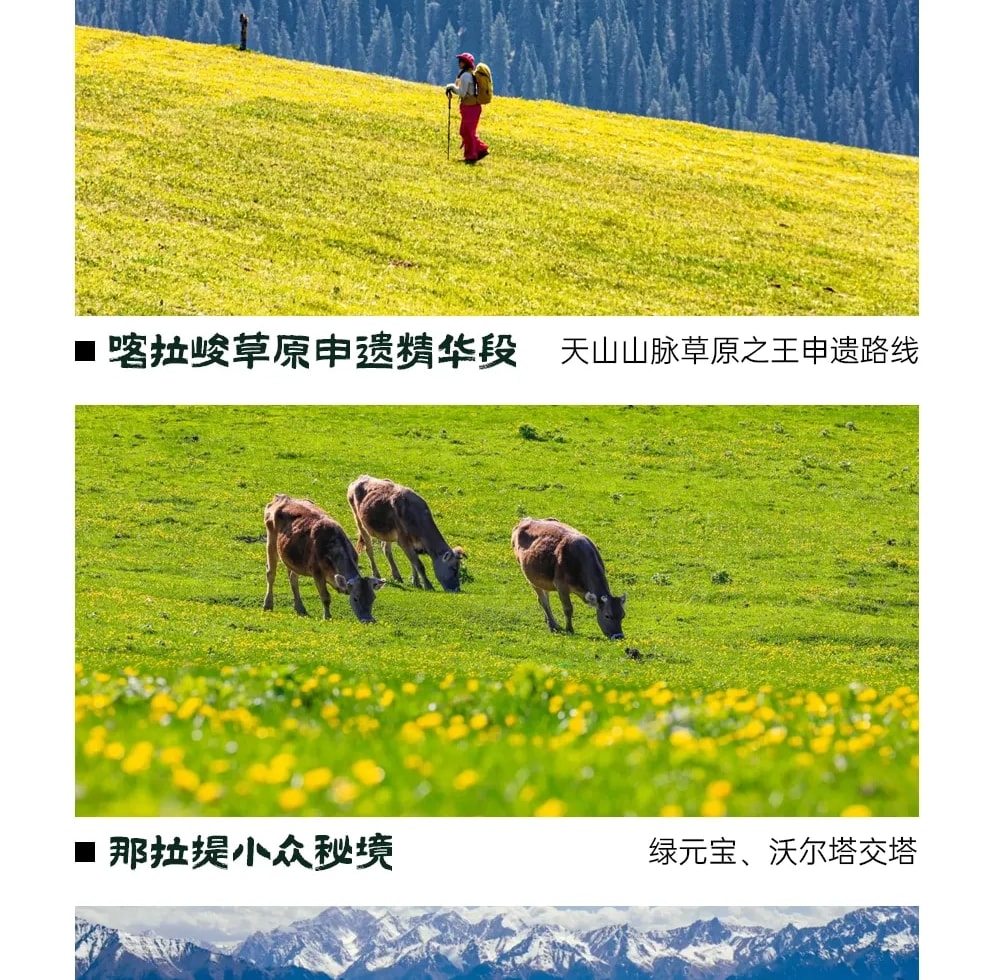 新疆秘境伊犁8日遊（獨庫公路北段+那拉提空中草原+賽里木湖環湖+唐布拉觀景臺+喀拉峻+庫爾德寧+沃爾塔交塔）