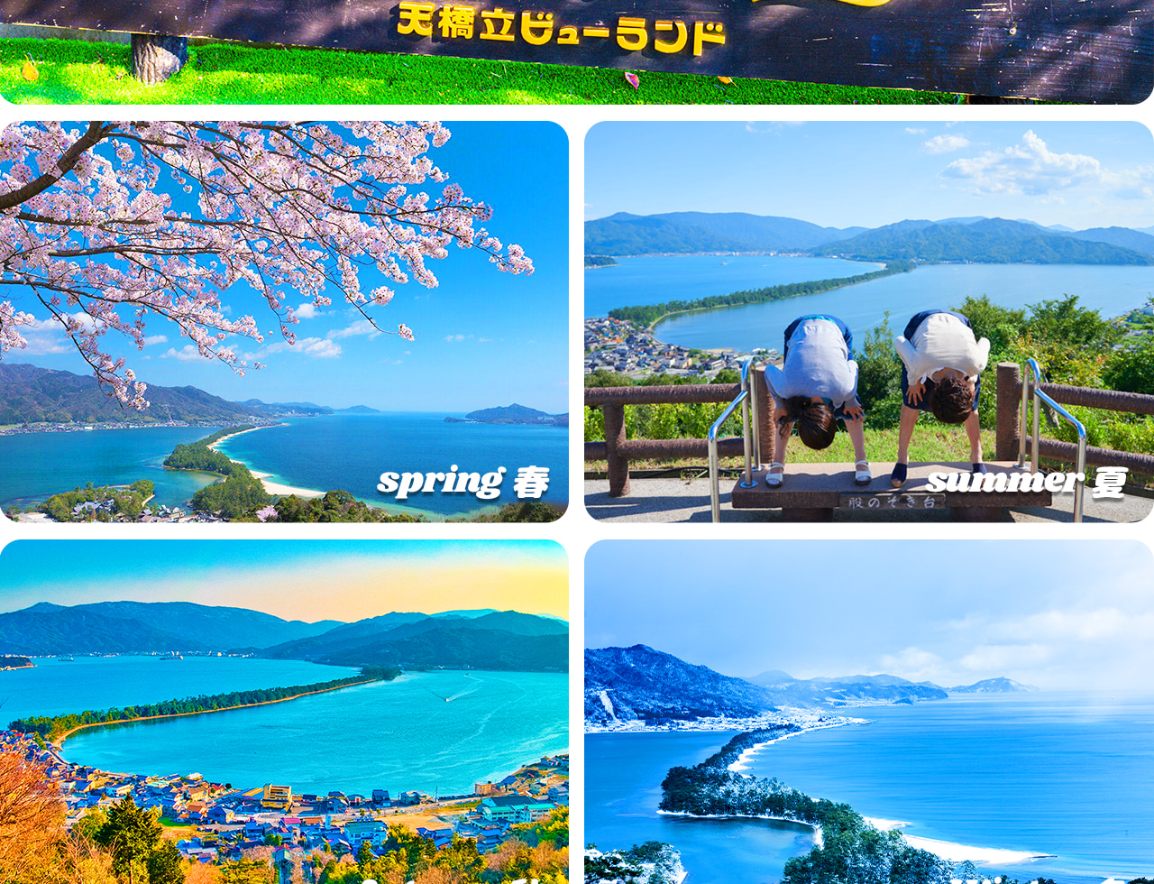 Amanohashidate is a pine forest sand spit about 3.6 kilometers long and 20-170 meters wide in Miyazu City, Kyoto Prefecture. It is one of the three most scenic spots in Japan. Its pine forest is like a "bridge to heaven" spanning Miyazu Bay and Aso Sea. T