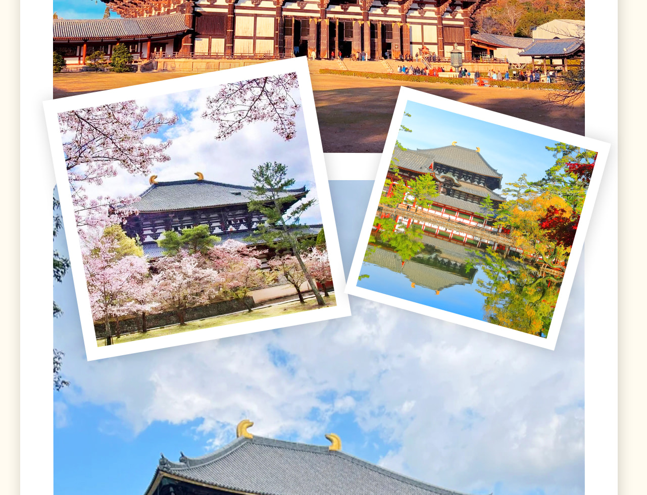 【東大寺】(費用敬請自理)又稱大華嚴寺,是752年,聖武天皇為了祀奉大佛並作為日本寺院的總寺而建的,是華嚴宗的大本山。東大寺院內還有二月堂、三月堂等。入場費:東大寺大殿大人600日圓,兒童300日圓 【東大寺】(費用敬請自理)又稱大華嚴寺,是752年,聖武天皇為了祀奉大佛並作為日本寺院的總寺而建的,是華嚴宗的大本山。東大寺院內還有二月堂、三月堂等。入場費:東大寺大殿大人600日圓,兒童300日圓