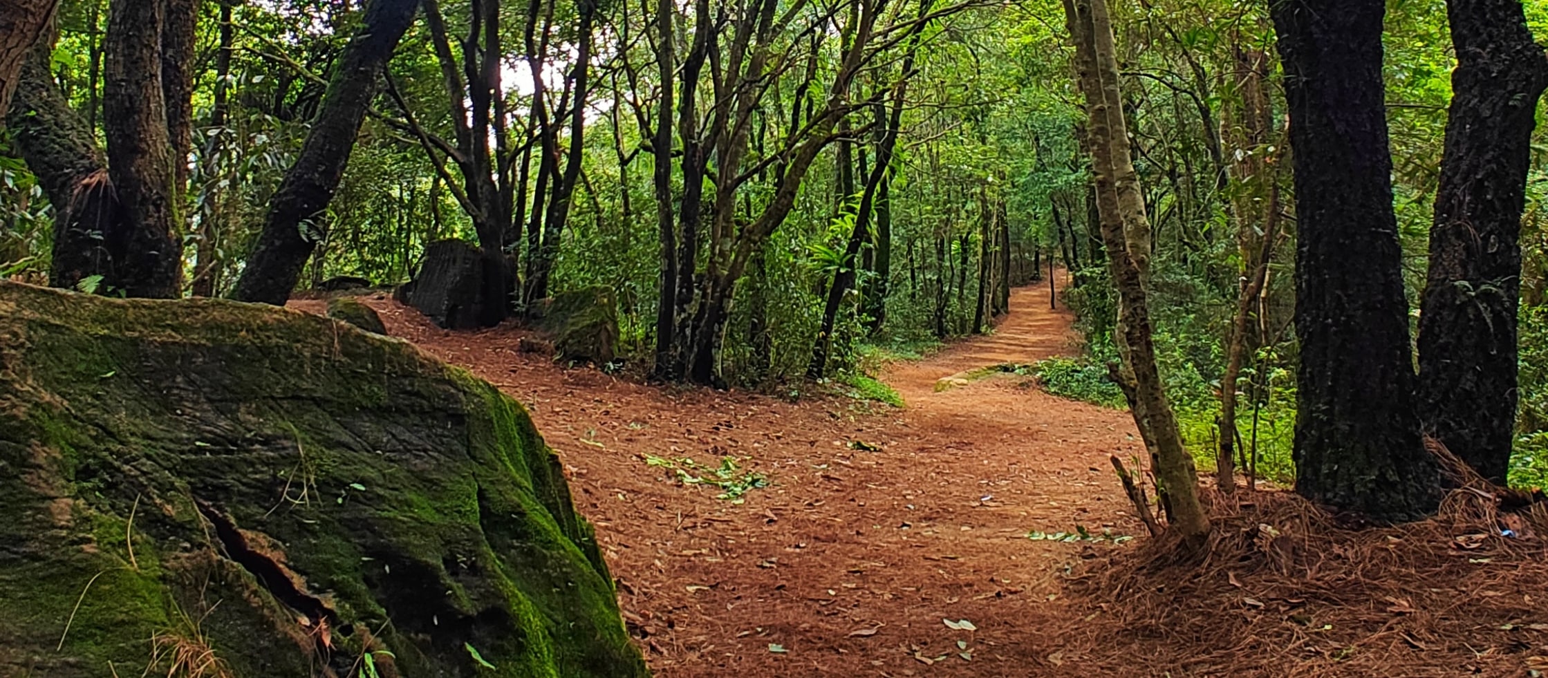 賈瑪喬健行步道