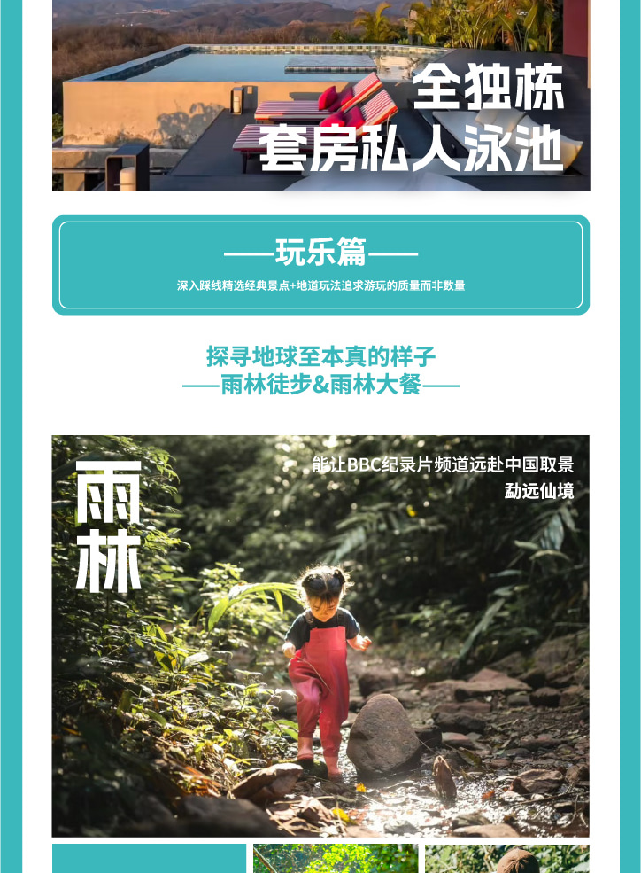 雲南西雙版納+普洱5天4晚【原始森林輕徒步+雨林牧象+咖啡莊園品鑑+普洱國家森林公園+全程臻選5鑽度假酒店】