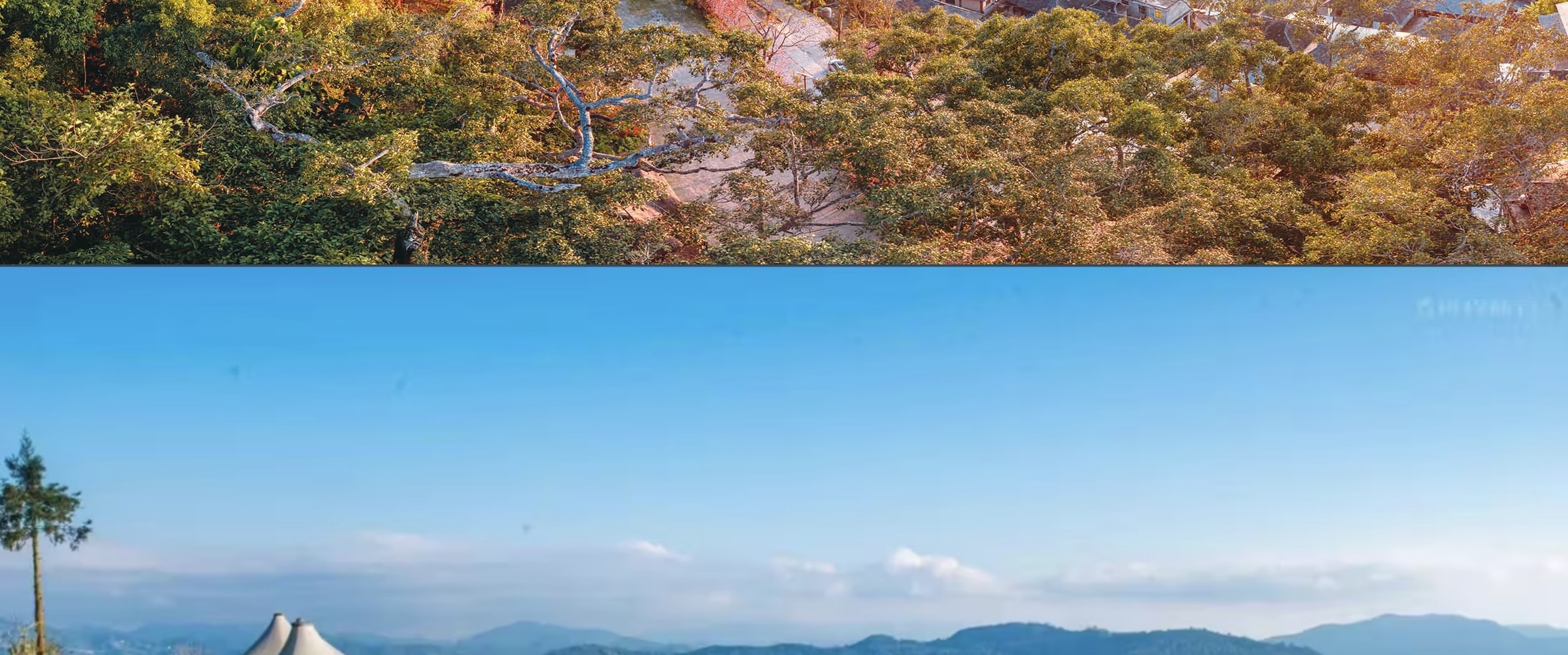 雲南西雙版納+普洱5天4晚【原始森林輕徒步+雨林牧象+咖啡莊園品鑑+普洱國家森林公園+全程臻選5鑽度假酒店】