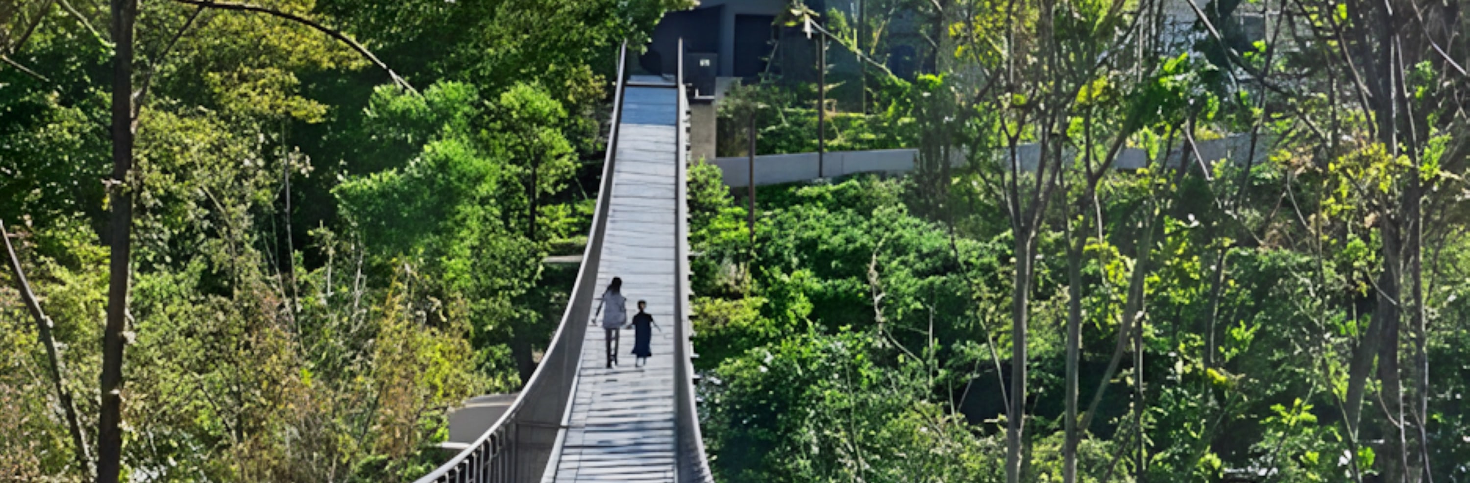 愛妓峰DMZ非軍事區和吊橋/恩平韓屋村一日遊