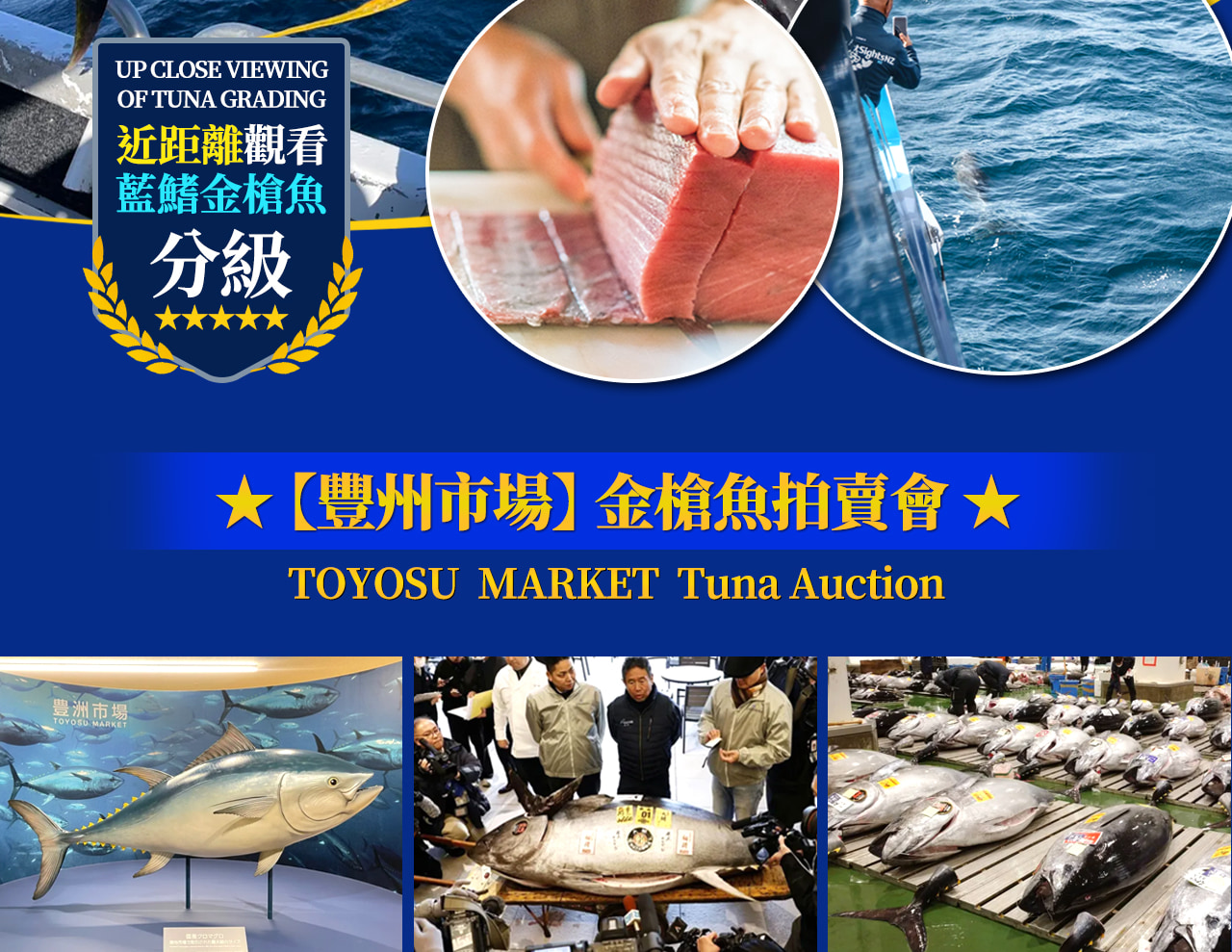 Tokyo Toyosu Market + Tsukiji Market: Tuna Auction & Seafood Breakfast Experience