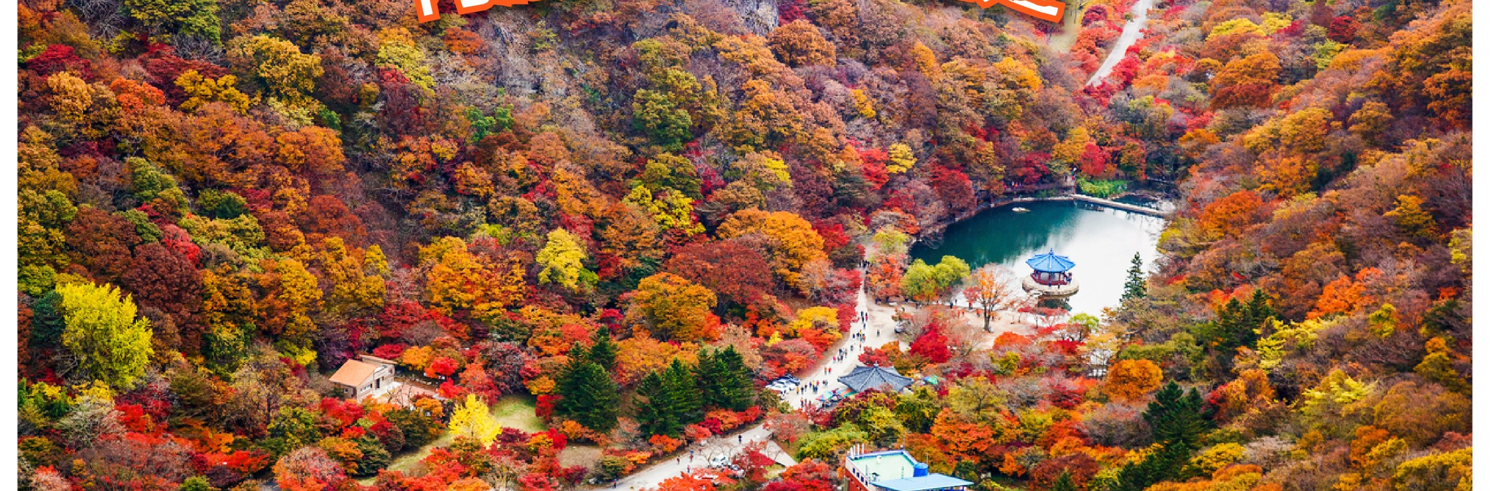 內藏山國立公園秋季賞楓一日遊（首爾出發）