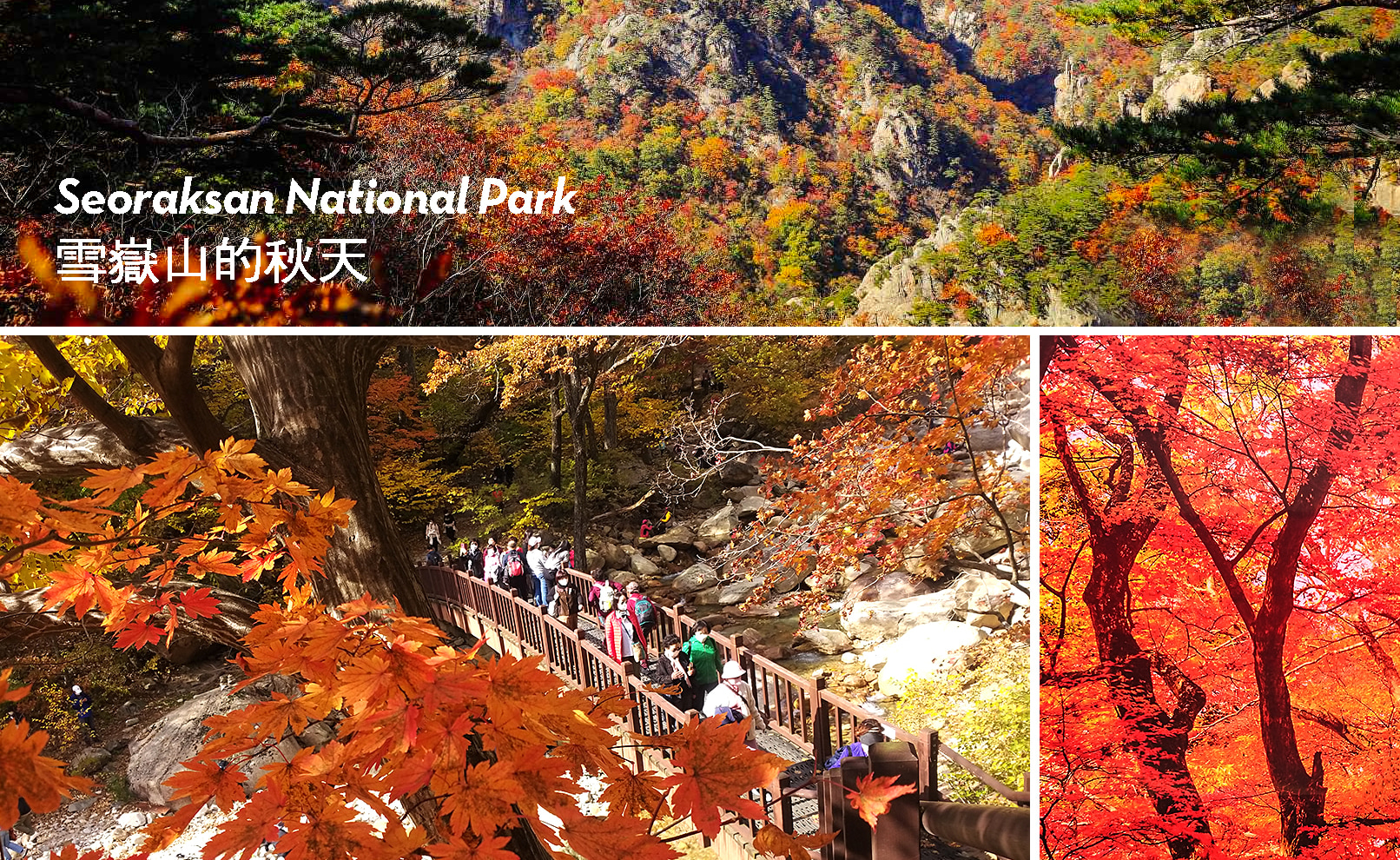 雪嶽山／纜車／草泥馬樂園／鐵道自行車／晨靜樹木園之旅