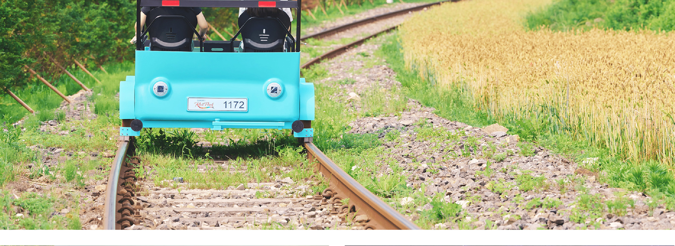 南怡島／草泥馬／鐵道自行車／小法國村／晨靜樹木園／海棠花園之旅