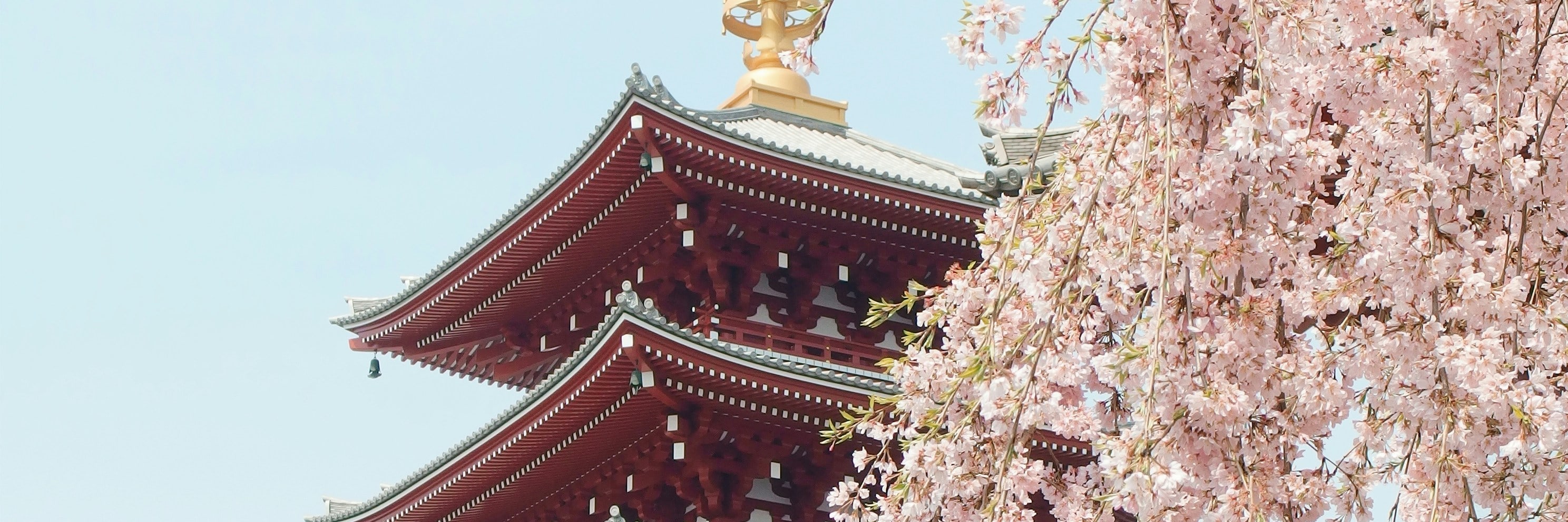 東京市區定製包車私家團一日遊 | 銀座晴空塔 | 城市深度探索