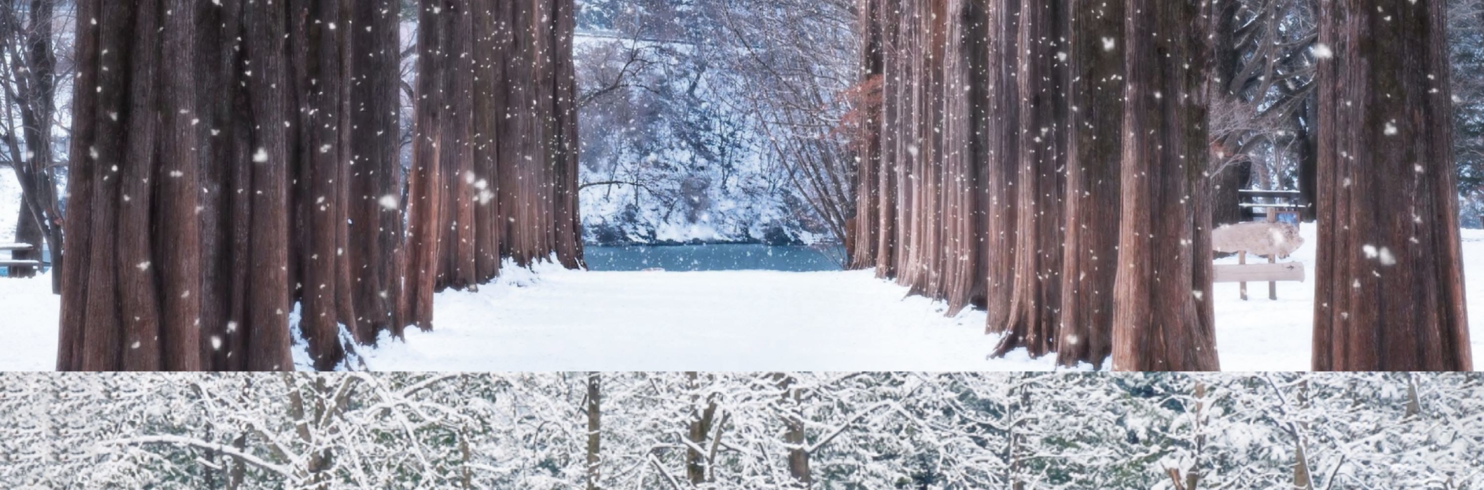 Cheongyang Ice Festival & Nami & Eobi Ice Valley & Strawberry Tour