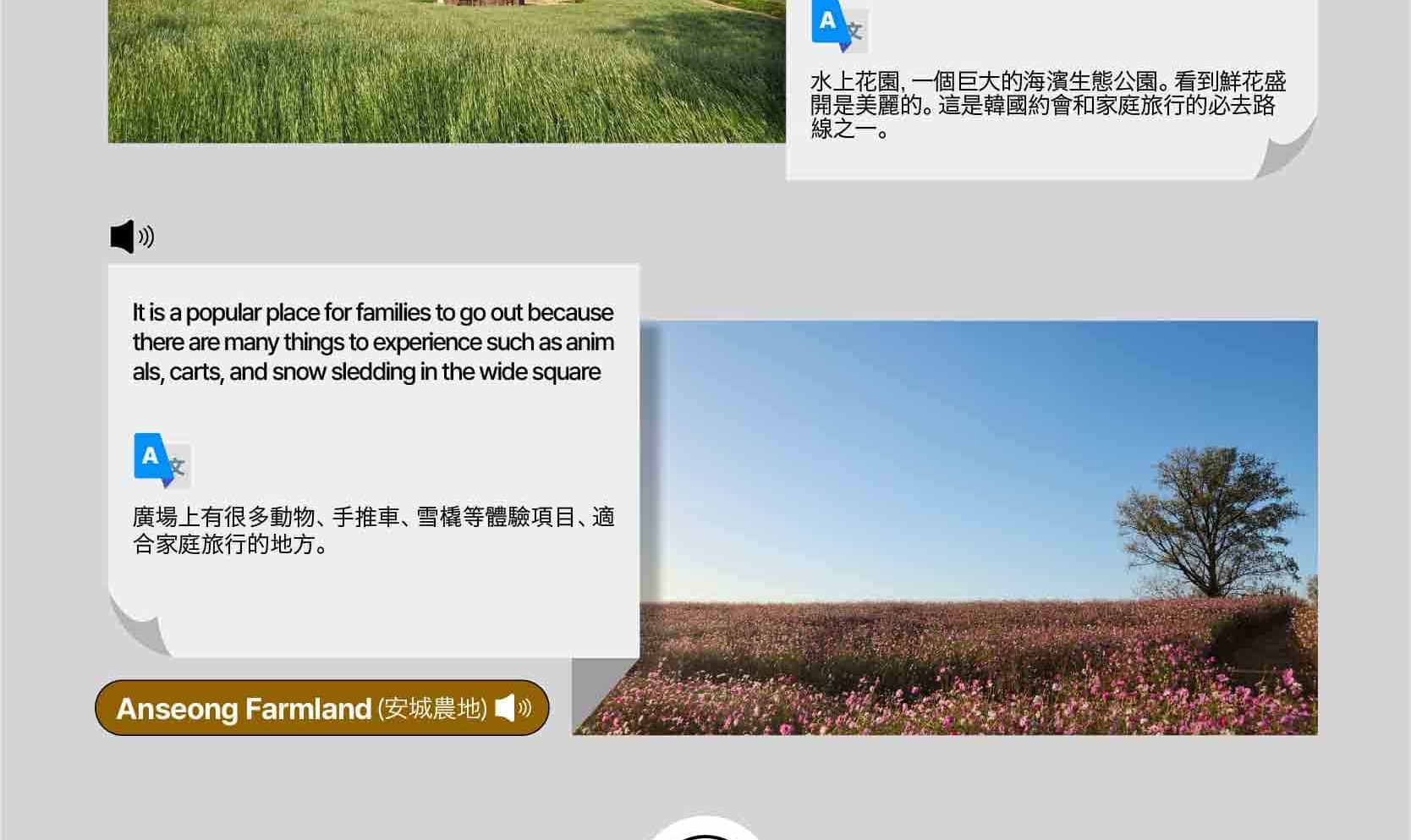 首爾私人訂製汽車之旅