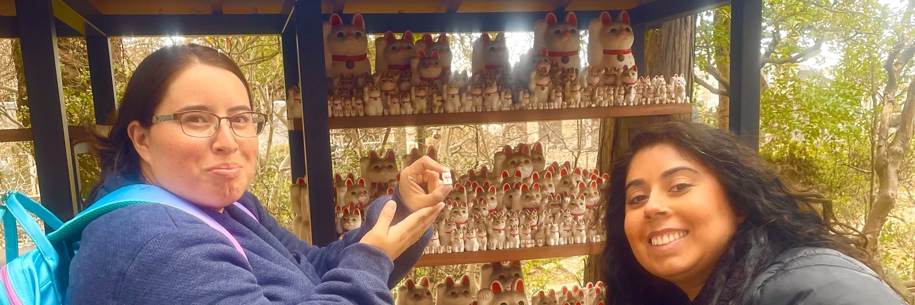 Tokyo: Gotokuji Cat Temple, Shinjuku Cat Café and Giant 3D Cat tour 