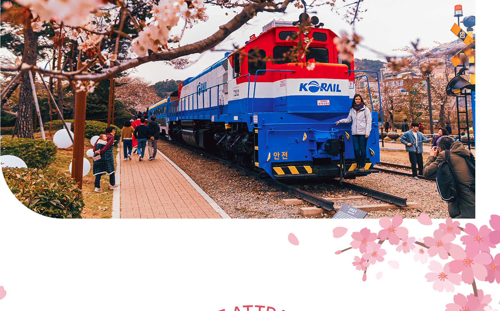 鎮海軍港櫻花節之旅 - 僅限英語