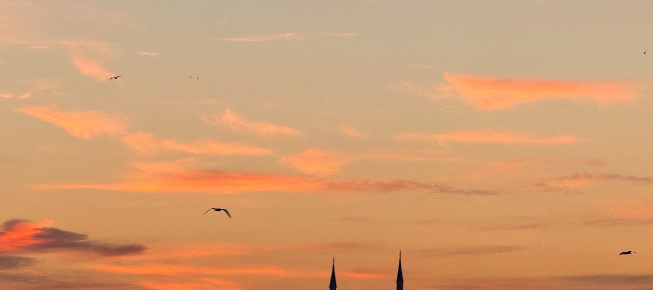 Spectacular Istanbul Sunset Cruise: 3 Hours with Asian Side Explore